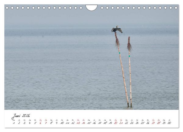 Produktbild: Naturpark Wattenmeer und Helgoland (Wandkalender 2026 DIN A4 quer), CALVENDO Monatskalender