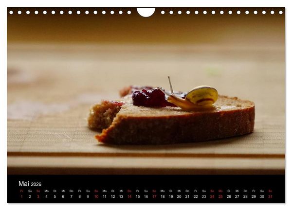 Produktbild: Kleine B&auml;nderschnecke ganz gro&szlig; - Gem&uuml;tlich durch das neue Jahr (Wandkalender 2026 DIN A4 quer), CALVENDO Monatskalender