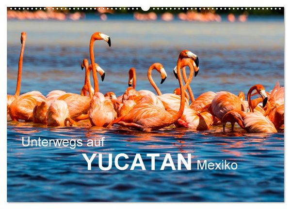 Unterwegs auf Yucatan Mexiko (Wandkalender 2026 DIN A2 quer), CALVENDO Monatskalender