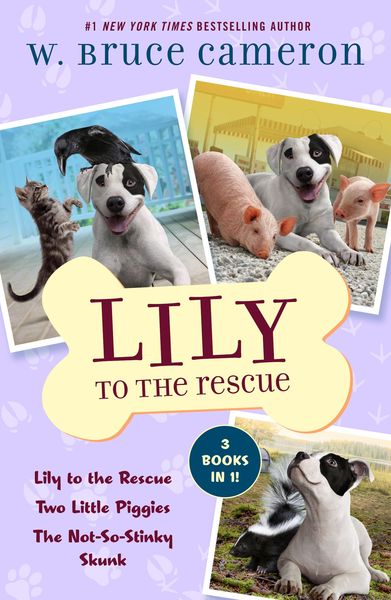 Produktbild: Lily to the Rescue Bind-Up Books 1-3