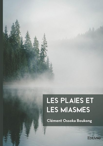 Produktbild: Les plaies et les miasmes