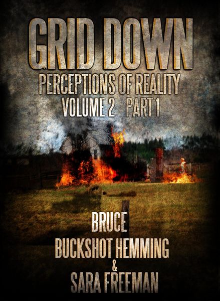 Produktbild: Grid Down Perceptions Of Reality (Part 1, #2)