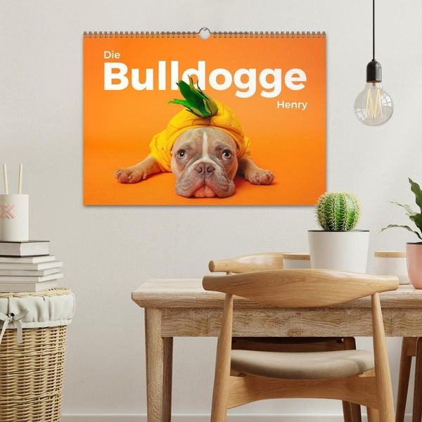 Produktbild: Die Bulldogge Henry (Wandkalender 2026 DIN A3 quer), CALVENDO Monatskalender