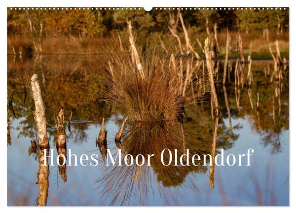 Hohes Moor Oldendorf (Wandkalender 2025 DIN A2 quer), CALVENDO Monatskalender