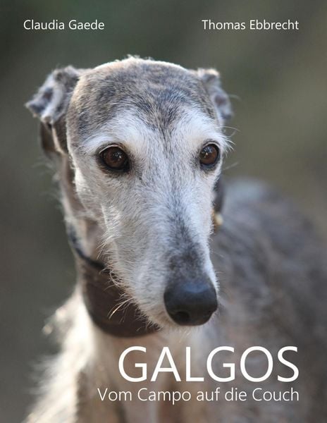 Produktbild: Galgos