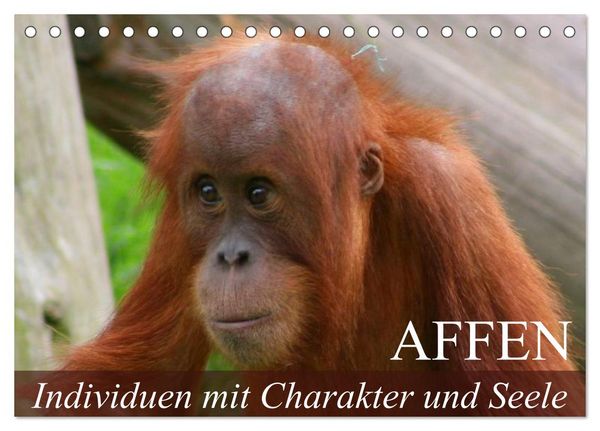 Produktbild: Affen - Individuen mit Charakter und Seele (Tischkalender 2026 DIN A5 quer), CALVENDO Monatskalender