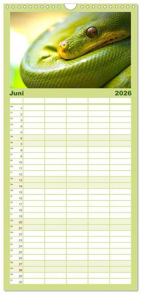 Produktbild: Familienplaner 2026 - Reptilien - Tierische Farbenpracht mit 5 Spalten (Wandkalender, 21 x 45 cm) CALVENDO