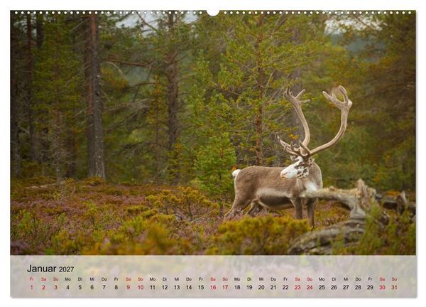 Produktbild: Magische Tiermomente (hochwertiger Premium Wandkalender 2027 DIN A2 quer), Kunstdruck in Hochglanz