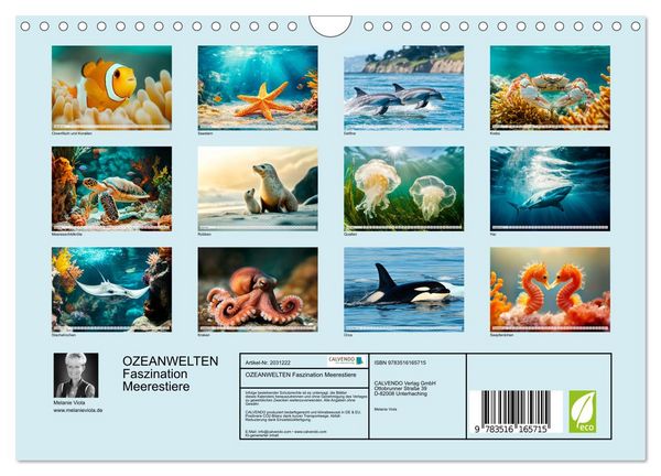 Produktbild: OZEANWELTEN Faszination Meerestiere (Wandkalender 2026 DIN A4 quer), CALVENDO Monatskalender