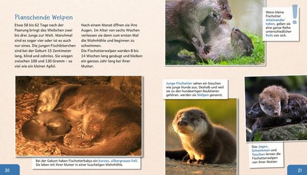 Produktbild: Meine gro&szlig;e Tierbibliothek: Der Otter