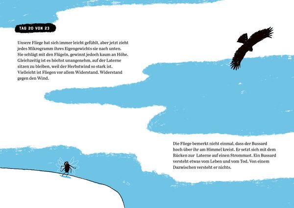 Produktbild: Biografie einer Fliege