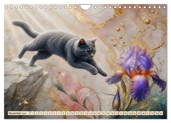 Produktbild: Floras Samtpfoten (Wandkalender 2027 DIN A4 quer), CALVENDO Monatskalender