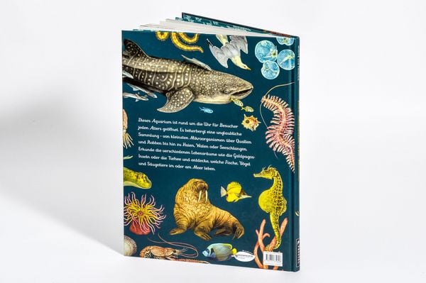 Produktbild: Das Museum des Meeres