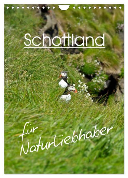 Produktbild: Schottland f&uuml;r Naturliebhaber (Wandkalender 2026 DIN A4 hoch), CALVENDO Monatskalender