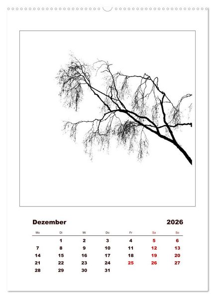 Produktbild: LignoGrafica - Muster und Strukturen der B&auml;ume (Wandkalender 2026 DIN A2 hoch), CALVENDO Monatskalender