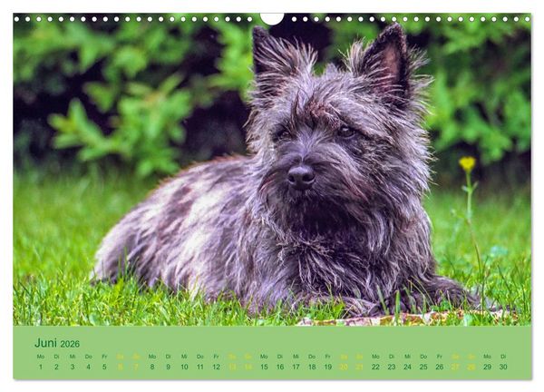 Produktbild: Cairns Forever (Wandkalender 2026 DIN A3 quer), CALVENDO Monatskalender