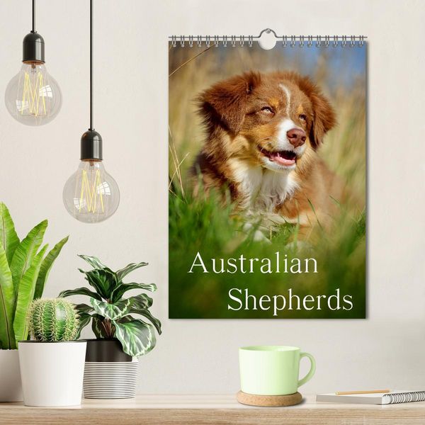 Produktbild: Australian Shepherds (Wandkalender 2026 DIN A4 hoch), CALVENDO Monatskalender