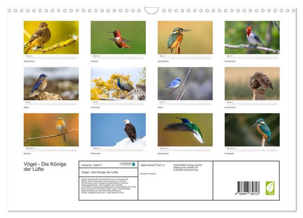Produktbild: V&ouml;gel - Die K&ouml;nige der L&uuml;fte (Wandkalender 2026 DIN A3 quer), CALVENDO Monatskalender