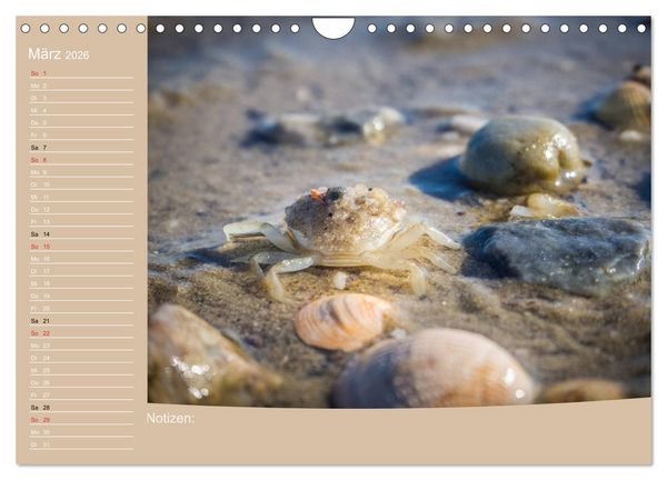 Produktbild: Hooksiel im Friesland (Wandkalender 2026 DIN A4 quer), CALVENDO Monatskalender