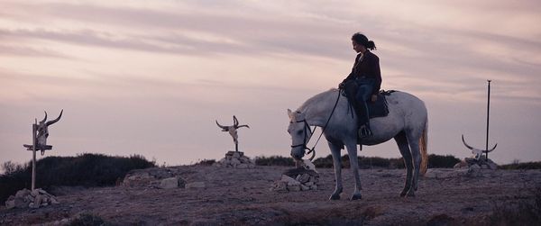 Produktbild: Animale - Mediabook (4K Ultra HD) (+ Blu-ray)