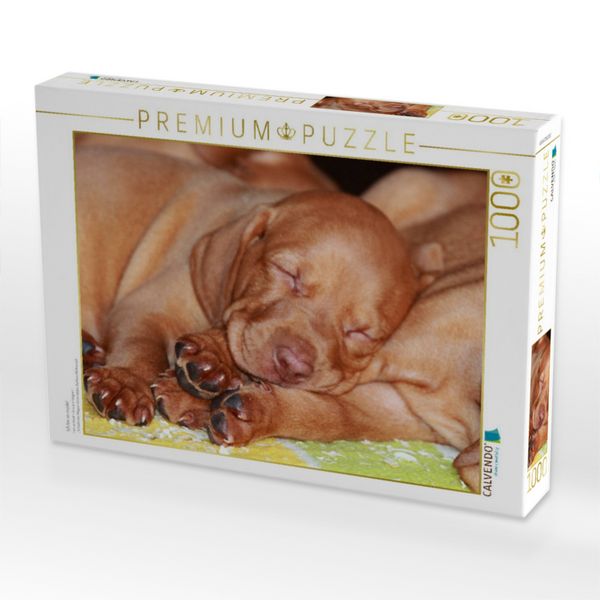Produktbild: CALVENDO Puzzle Ich bin so m&uuml;de! | 1000 Teile Lege-Gr&ouml;&szlig;e 64x48cm Foto-Puzzle f&uuml;r gl&uuml;ckliche Stunden
