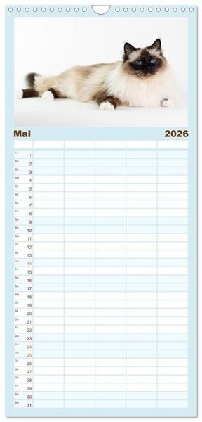 Produktbild: Familienplaner 2026 - Heilige Birma Katzen - Eine Rasse mit traumhaft blauen Augen. mit 5 Spalten (Wandkalender, 21 x 45 cm) CALVENDO