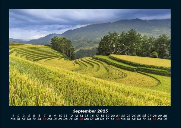 Produktbild: Blick in die Natur 2025 Fotokalender DIN A4
