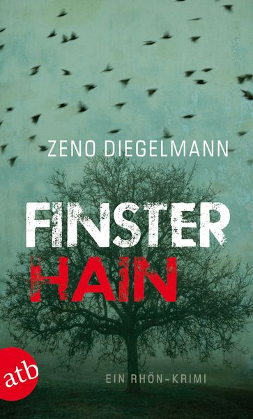 Finsterhain / Kommissar Seeberg Band 2, Taschenbuch von Zeno Diegelmann, Aufbau TB, 978-3-7466-2628-4