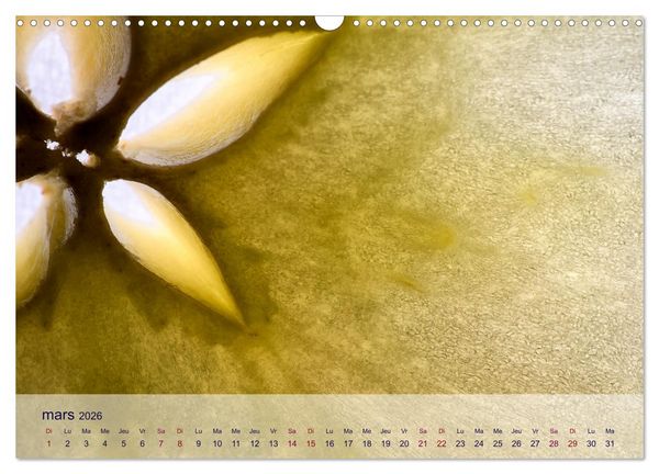 Produktbild: C&oelig;ur de fruits c&oelig;ur de l&eacute;gumes (Calendrier mural 2026 DIN A3 vertical), CALVENDO calendrier mensuel