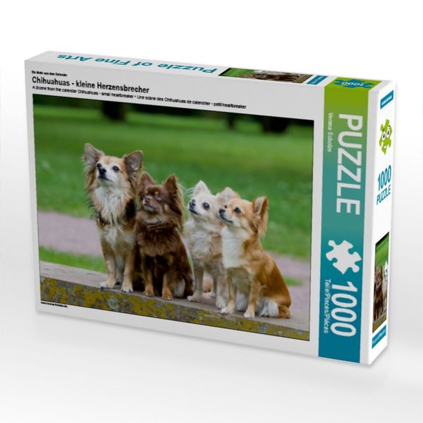 CALVENDO Puzzle Ein Motiv aus dem Kalender Chihuahuas - kleine Herzensbrecher | 1000 Teile Lege-Größe 64x48cm Foto-Puzzle für glückliche Stunden