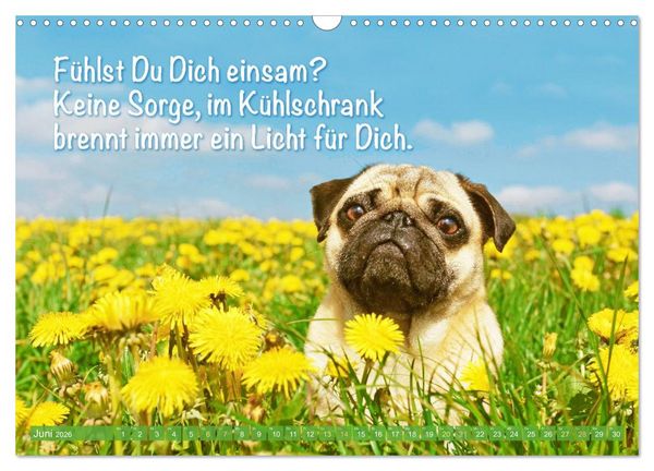 Produktbild: Mopsala: Vom Gl&uuml;ck, ein Mops zu sein (Wandkalender 2026 DIN A3 quer), CALVENDO Monatskalender