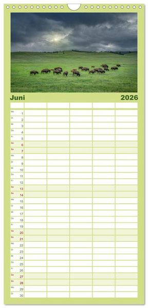 Produktbild: Familienplaner 2026 - Sioux Im Lande von Sitting Bull mit 5 Spalten (Wandkalender, 21 x 45 cm) CALVENDO