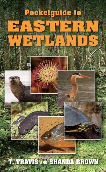 Produktbild: Pocketguide to Eastern Wetlands