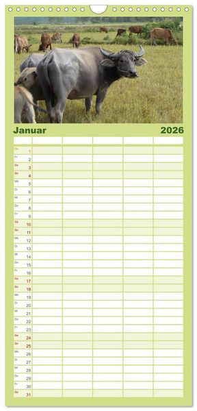 Produktbild: Familienplaner 2026 - K&uuml;he mit H&ouml;rnern mit 5 Spalten (Wandkalender, 21 x 45 cm) CALVENDO