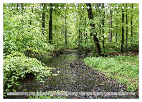 Produktbild: Teutoburger Wald - Natur und Kultur (Tischkalender 2026 DIN A5 quer), CALVENDO Monatskalender