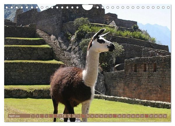 Produktbild: Per&uacute;. Impressionen (Wandkalender 2026 DIN A4 quer), CALVENDO Monatskalender