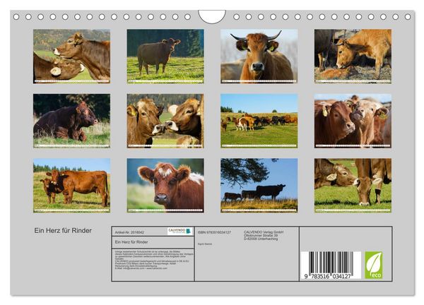 Produktbild: Ein Herz f&uuml;r Rinder (Wandkalender 2026 DIN A4 quer), CALVENDO Monatskalender