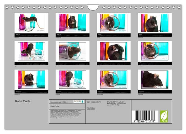 Produktbild: Ratte Ouille (Calendrier mural 2026 DIN A4 vertical), CALVENDO calendrier mensuel