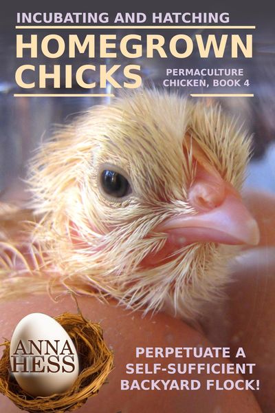 Produktbild: Incubating and Hatching Homegrown Chicks