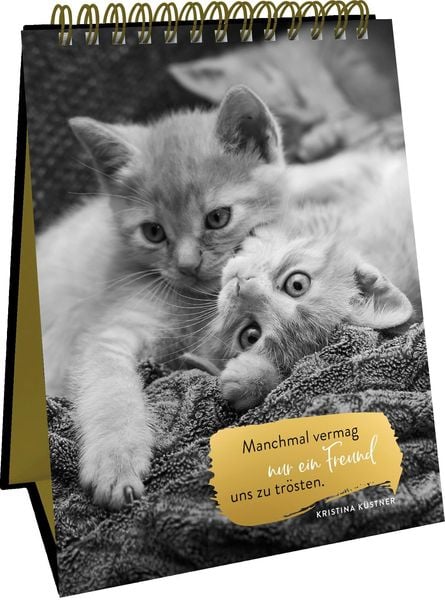 Produktbild: Goldene Katzenweisheiten