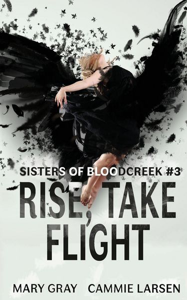 Produktbild: Rise, Take Flight