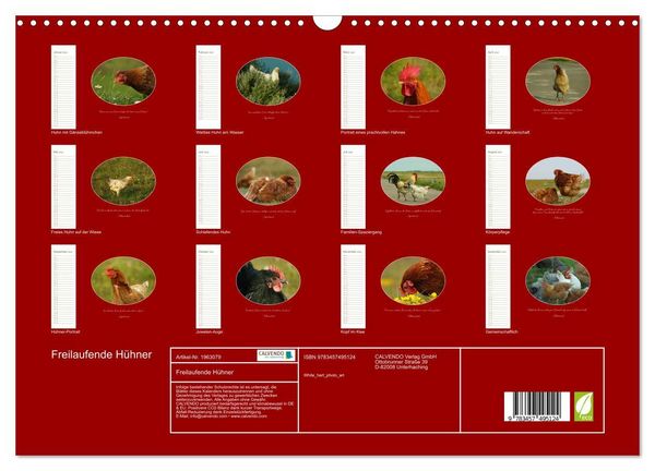 Produktbild: Freilaufende H&uuml;hner (Wandkalender 2026 DIN A3 quer), CALVENDO Monatskalender