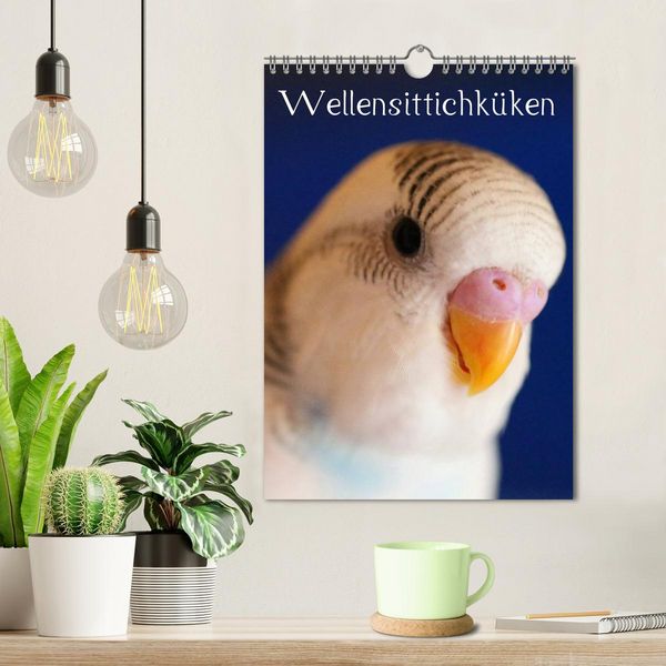 Produktbild: Wellensittichk&uuml;ken (Wandkalender 2026 DIN A4 hoch), CALVENDO Monatskalender