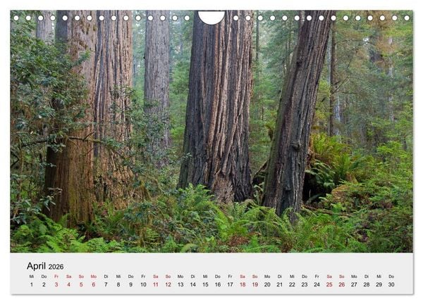 Produktbild: Kalifornien - K&uuml;sten und W&uuml;sten, St&auml;dte und Berge (Wandkalender 2026 DIN A4 quer), CALVENDO Monatskalender