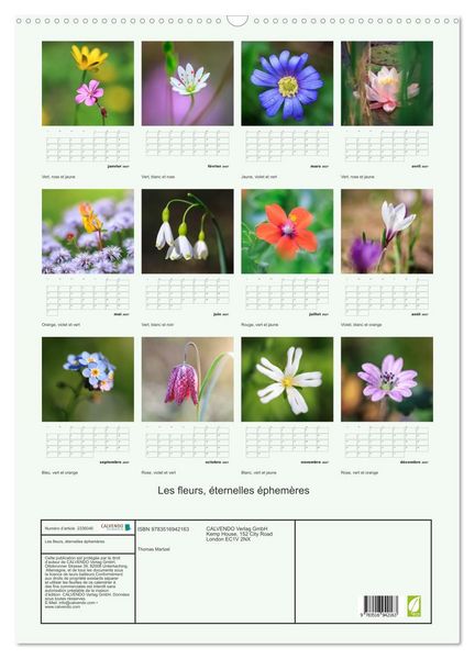 Produktbild: Les fleurs, &eacute;ternelles &eacute;phem&egrave;res (Calendrier mural 2027 DIN A2 horizontal), CALVENDO calendrier mensuel