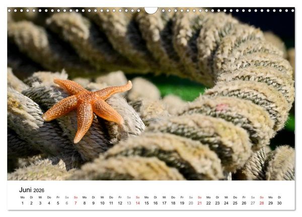 Produktbild: Maritime Impressionen Wilhelmshaven (Wandkalender 2026 DIN A3 quer), CALVENDO Monatskalender