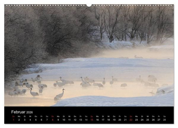 Produktbild: V&ouml;gel & Landschaften (hochwertiger Premium Wandkalender 2026 DIN A2 quer), Kunstdruck in Hochglanz