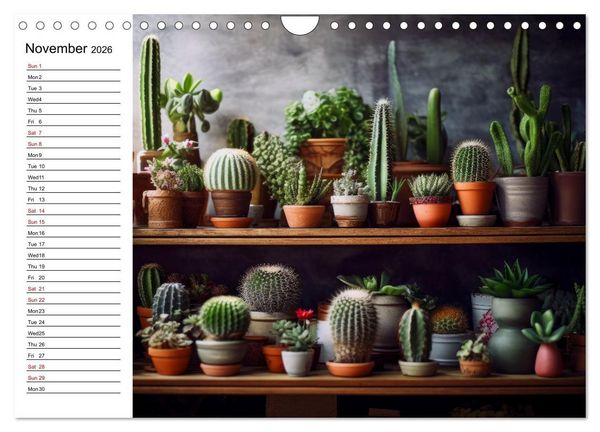 Produktbild: Cacti Wonderland (Wall Calendar 2026 DIN A4 landscape), CALVENDO 12 Month Wall Calendar