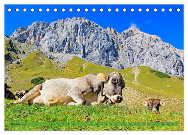 Produktbild: Auf Weidefl&auml;chen und Hochweiden (Tischkalender 2026 DIN A5 quer), CALVENDO Monatskalender