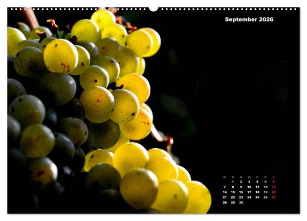 Produktbild: Der Natur auf der Spur - Makro-Fotografien der besonderen Art (Wandkalender 2026 DIN A2 quer), CALVENDO Monatskalender